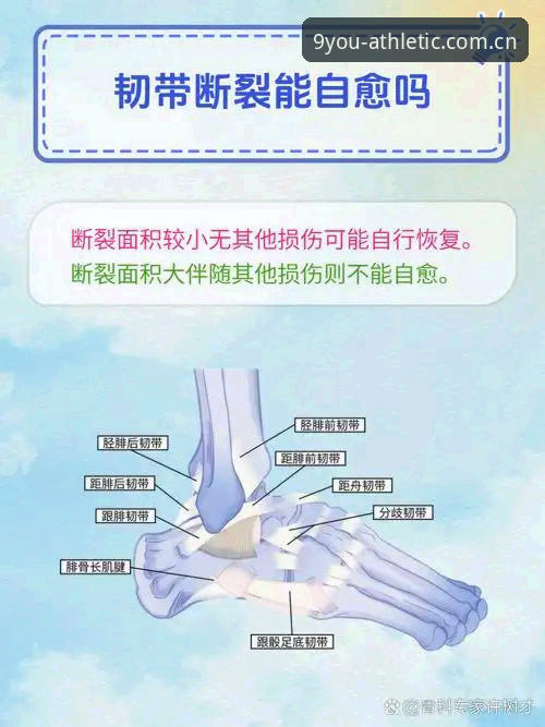 中国官方主页体育资讯 施洛特贝克伤退解析:世界杯韧带撕裂的连锁影响